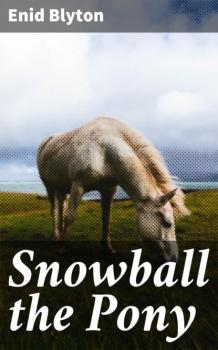 Snowball the Pony