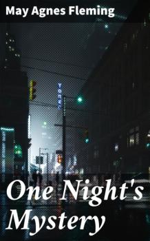 One Night's Mystery