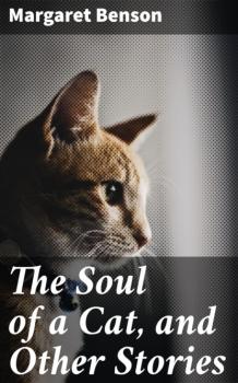 The Soul of a Cat, and Other Stories