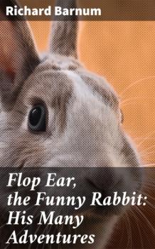 Flop Ear, the Funny Rabbit: His Many Adventures
