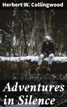 Adventures in Silence