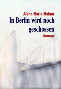 In Berlin wird noch geschossen e-book