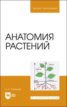 Анатомия растений