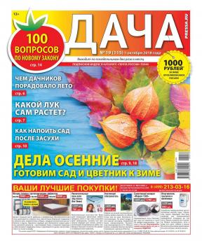 Дача Pressa.ru 19-2018