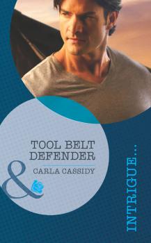 Tool Belt Defender