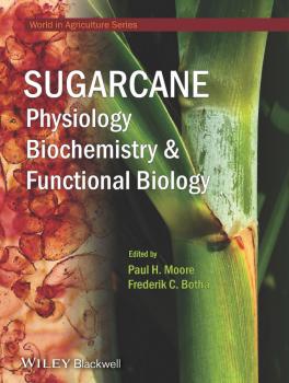 Sugarcane. Physiology, Biochemistry and Functional Biology