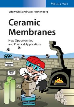 Ceramic Membranes. New Opportunities and Practical Applications