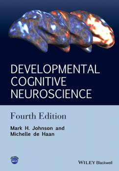 Developmental Cognitive Neuroscience. An Introduction