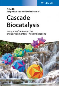 Cascade Biocatalysis. Integrating Stereoselective and Environmentally Friendly Reactions
