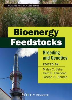 Bioenergy Feedstocks. Breeding and Genetics