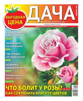 Дача Pressa.ru 14-2019