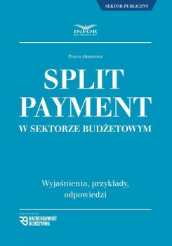 Split Payment w sektorze budÅ¼etowym
