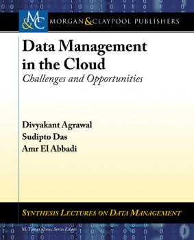 Data Management in the Cloud