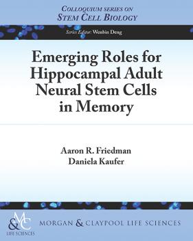 Emerging Roles for Hippocampal Adult Neural Stem Cells in Memory