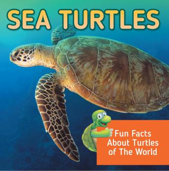 Sea Turtles: Fun Facts About Turtles of The World