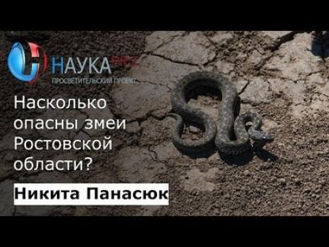 Насколько опасны змеи Ростовской области