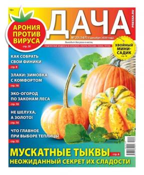 Дача Pressa.ru 23-2020