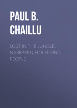 Lost in the Jungle; Narrated for Young People