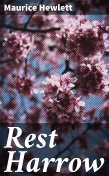 Rest Harrow