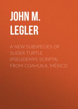 A New Subspecies of Slider Turtle (Pseudemys scripta) from Coahuila, México