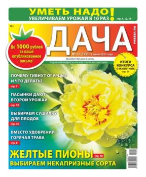 Дача Pressa.ru 11-2021