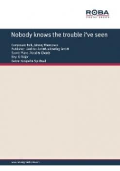 Nobody knows the trouble i've seen