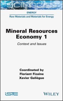 Mineral Resource Economics 1