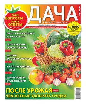 Дача Pressa.ru 17-2021
