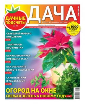 Дача Pressa.ru 23-2021