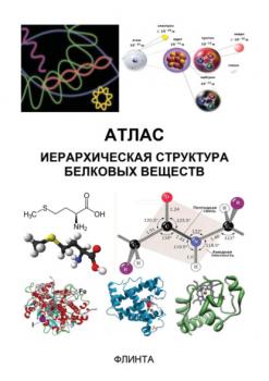 Атлас. Иерархическая структура белковых веществ