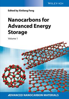 Nanocarbons for Advanced Energy Storage, Volume 1