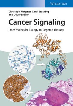 Cancer Signaling, Enhanced Edition. From Molecular Biology to Targeted Therapy