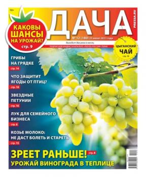 Дача Pressa.ru 12-2021