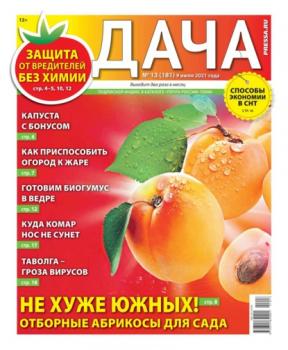 Дача Pressa.ru 13-2021