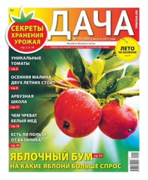 Дача Pressa.ru 15-2021